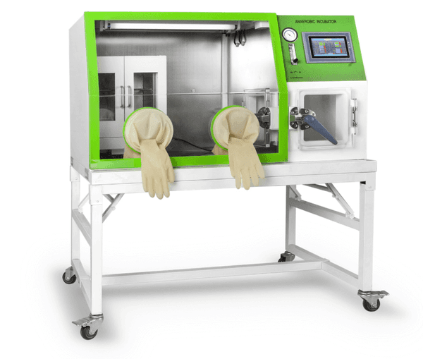 Anaerobic incubator Anaerobic incubator