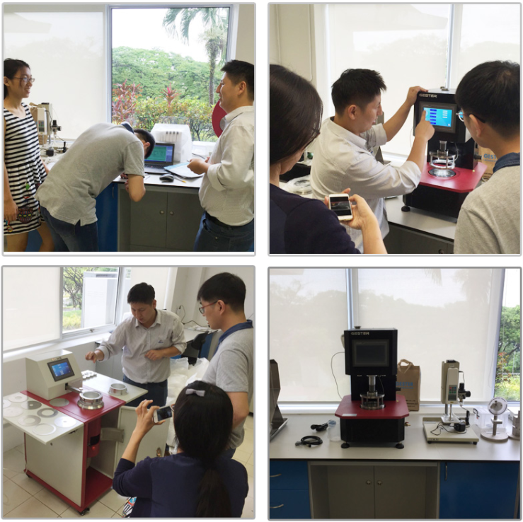 The successful completion of the projects in singapore